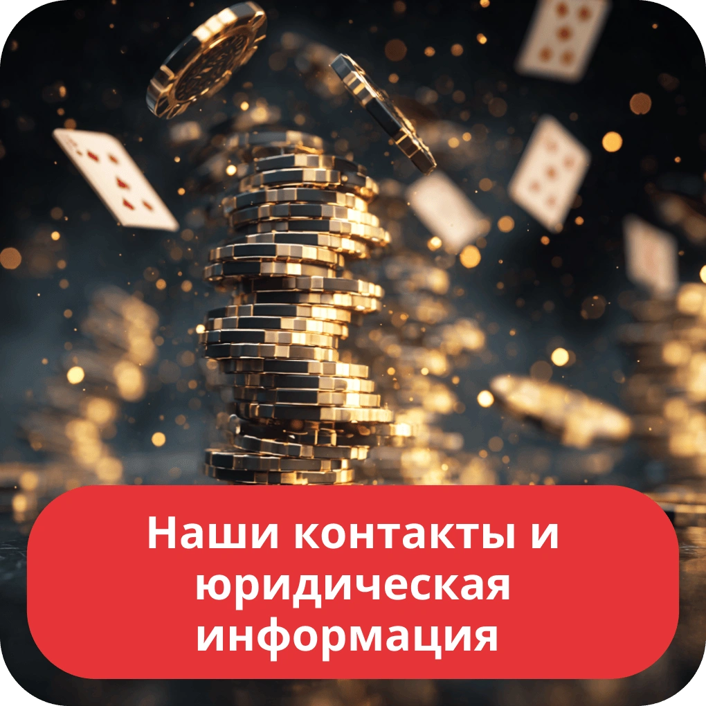 Наши контакты и юридическая информация